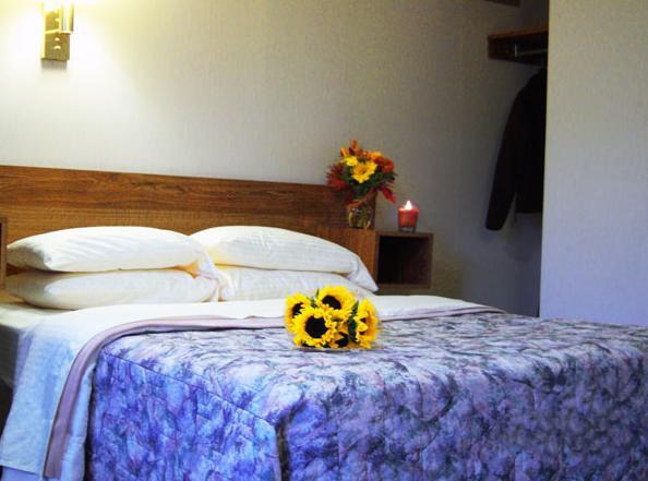 Tall Pines Motel Лейк-Джордж Номер фото